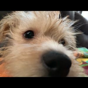 Meet your Posher, Debra